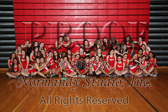 LIB_1128_tr-g-t