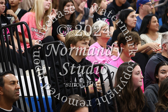 WHS_vb-pink out_71