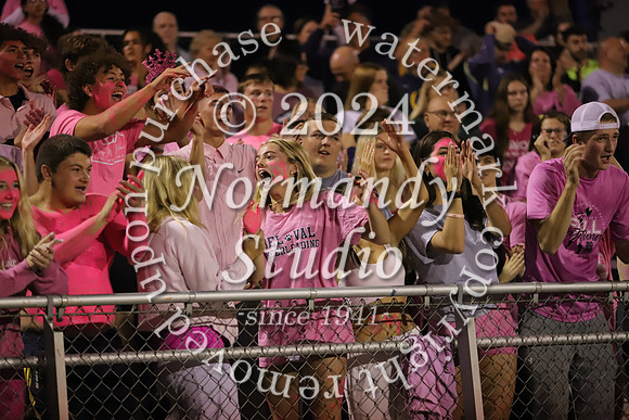 DVH_fans_26