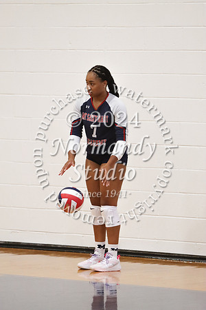 MSM_vb-g_61