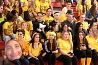 MNP_010_botc