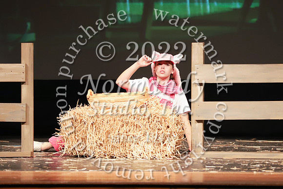 LIB_play_053