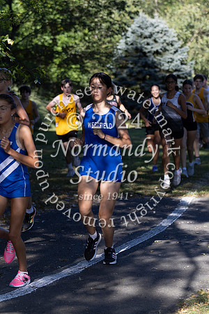 WHS_cc-g_22