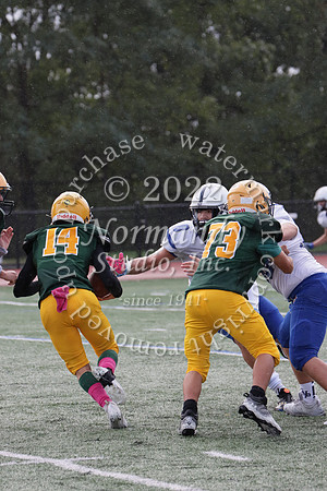 SHP_fb-f_29