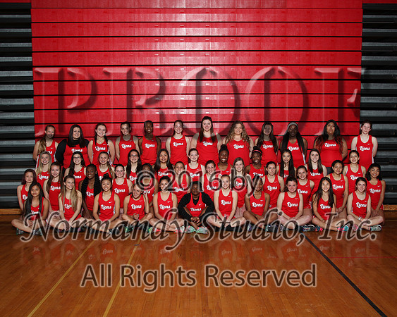 LIB_1126_tr-g-t
