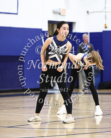 WHS_dt_041