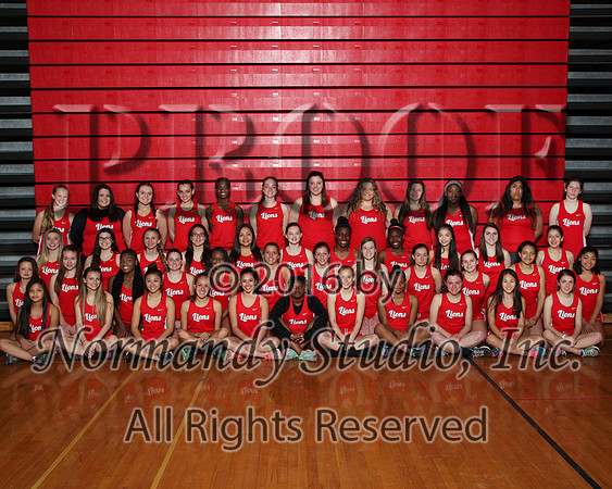 LIB_1125_tr-g-t