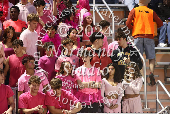 SVL_fans_12