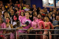 DVH_fans_11