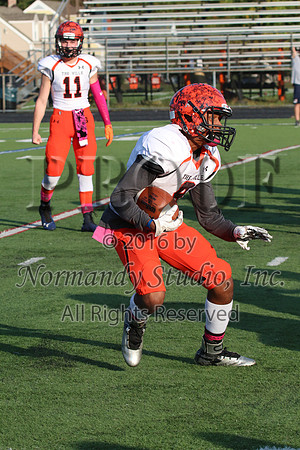 SVL_fb-j_057