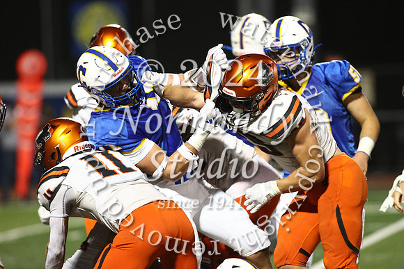 SVL_fb_20