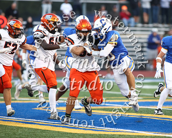 SVL_fb_68