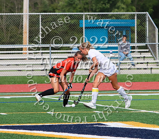 DVH_fh_32