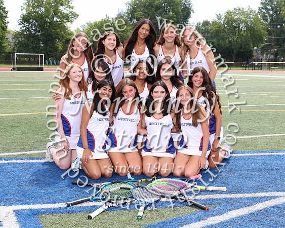 WHS_tn-g-v-t_314
