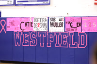 WHS_vb-pink out_06