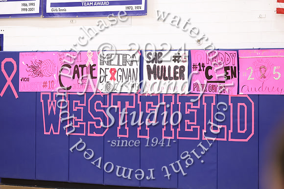 WHS_vb-pink out_06