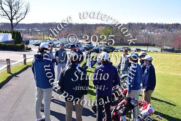SHP_go_39