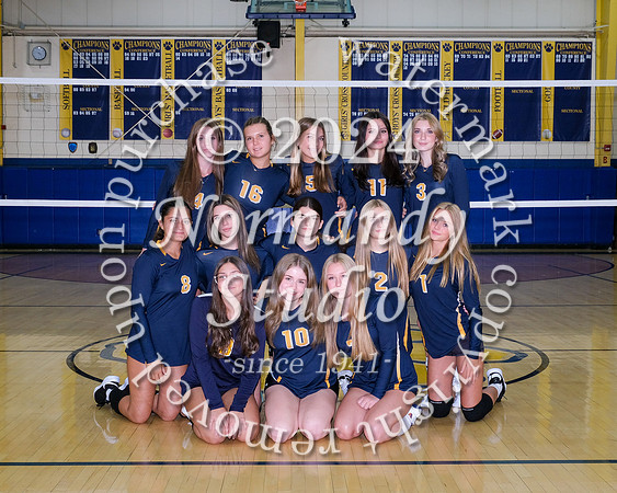 DVH_vb-g-f-t_03