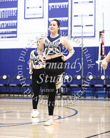 WHS_dt_039