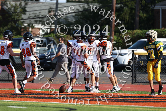 SVL_fb-f_24