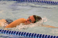 WMC_207_sw-g