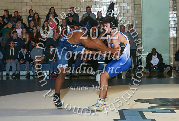 WHS_wr_31