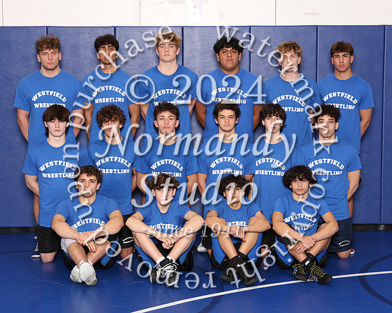 WHS_wr-t_02