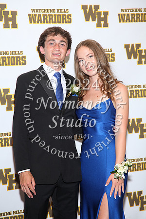 WTG_sr_prom_059
