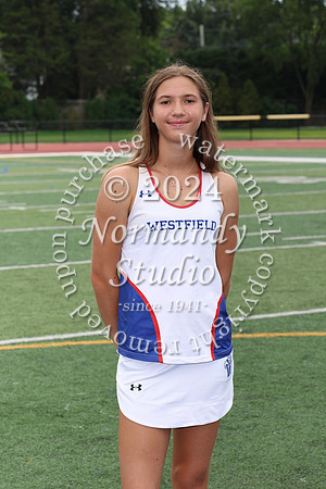 WHS_tn-g-srs_345