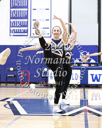 WHS_dt_030