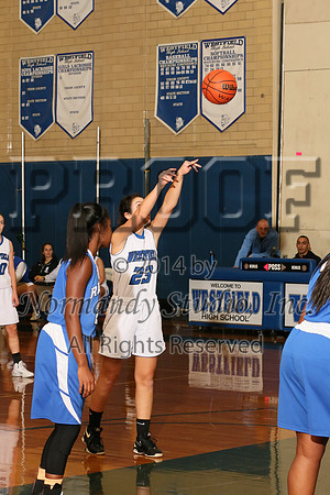 WHS_43_bb-g