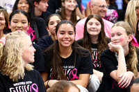 WHS_vb-pink out_18