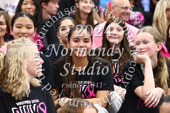 WHS_vb-pink out_18