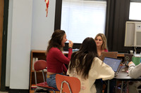 WHS_slc_11