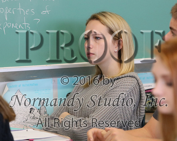 WHS_033_slc