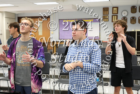 SVL_slc_003