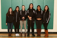 RDG_2662_fe-g-t