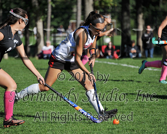 JAC_43_fhsd
