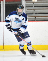 ICE HOCKEY