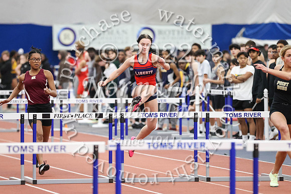 LIB_wt-g_13
