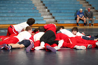 WRESTLING