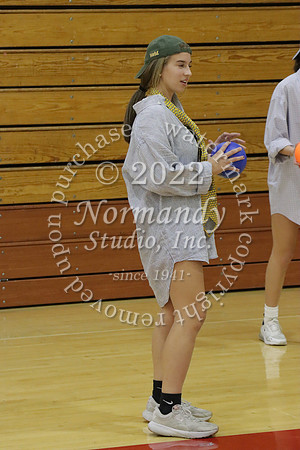 BER_dodgeball_065