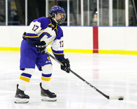 ICE HOCKEY