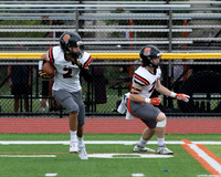 SVL_fb-j_14