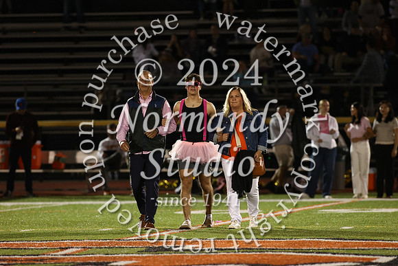 SVL_hc court_49
