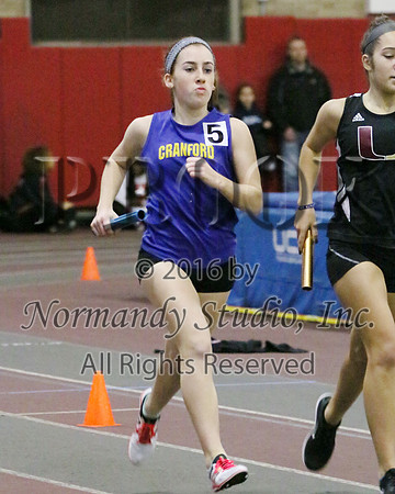 CHS_27_wt-g