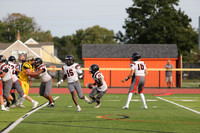 SVL_fb-j_20