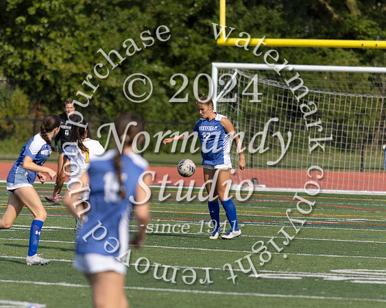 WHS_so-g_56