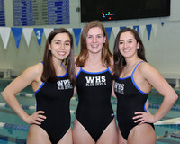 WHS_8073_sw-g-t