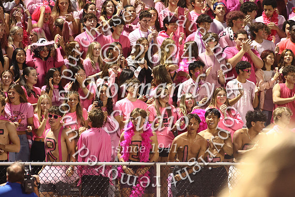 SVL_fans_35